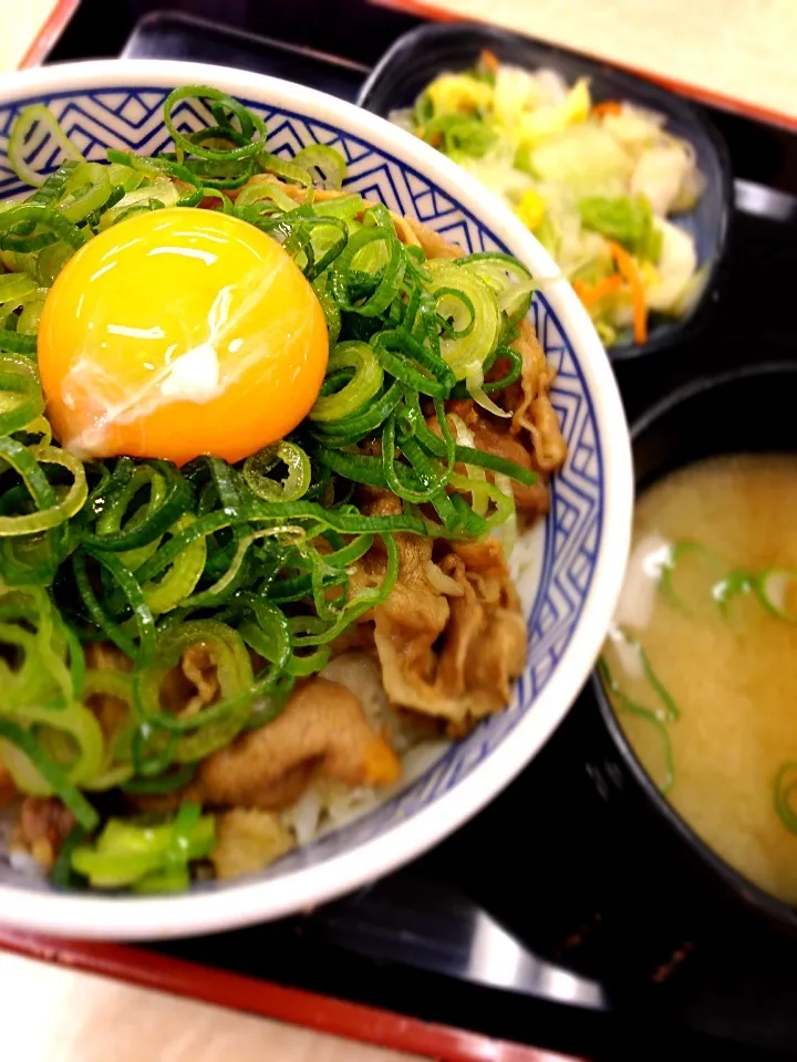 牛ねぎ玉丼|あきらさん