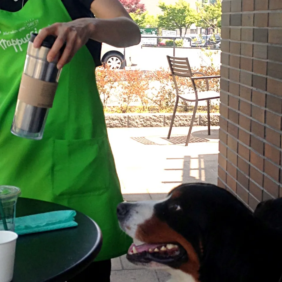 Snapdishの料理写真:STAR BUCKS  福岡✨春日店      わんわん🐾カーニバル🐕|ももよーさん