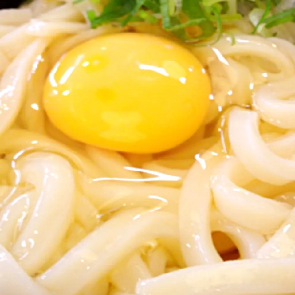 かま玉うどん|梅花権現さん