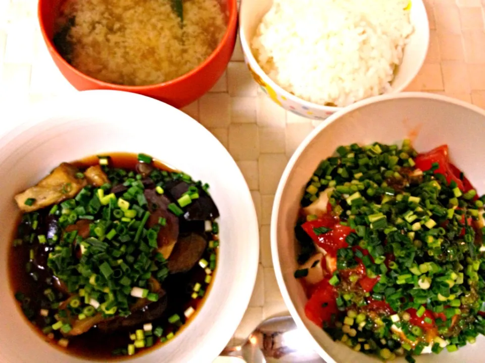 茄子の煮浸し
トマトとネギの冷や奴
ごはん
ワカメの味噌汁|こなつさん