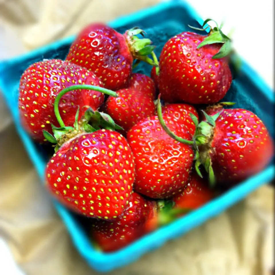 Amish strawberries|Martha P.さん