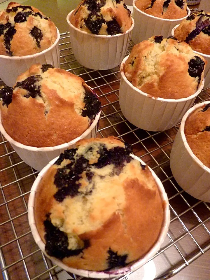 Blueberry Muffins|chef baobao from Singaporeさん