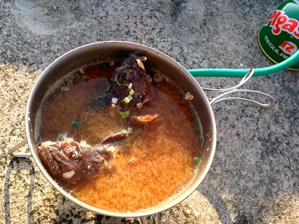 早朝釣りましたカサゴ その場で食べるワイルド味噌汁|さくたろうさん