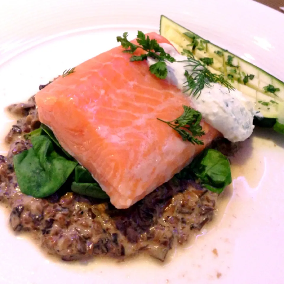 Slow cook marinated salmon with cream mushrooms, cream fraiche sauce|Anne Wongさん