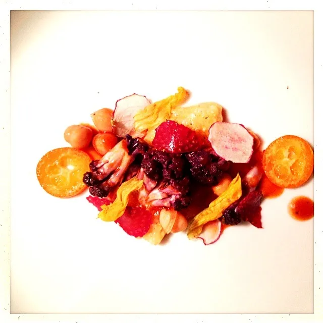 POLENTA. KUMQUAT. STRAWBERRY. CAULIFLOWER. RADISH. SQUASH BLOSSOM|GREG ARNOLDさん