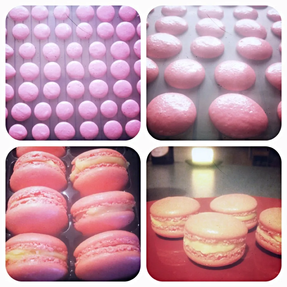 Snapdishの料理写真:Rose flavoured macaroons|Blanka Budakさん