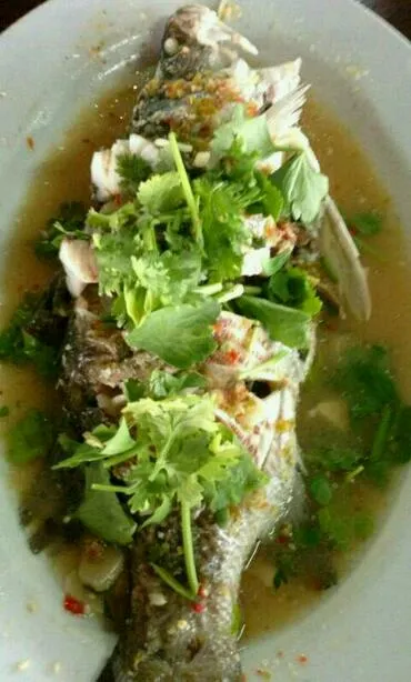 Steamed sea bass with lemon, chili and garlic sau. ^^|Adul Rubnganさん