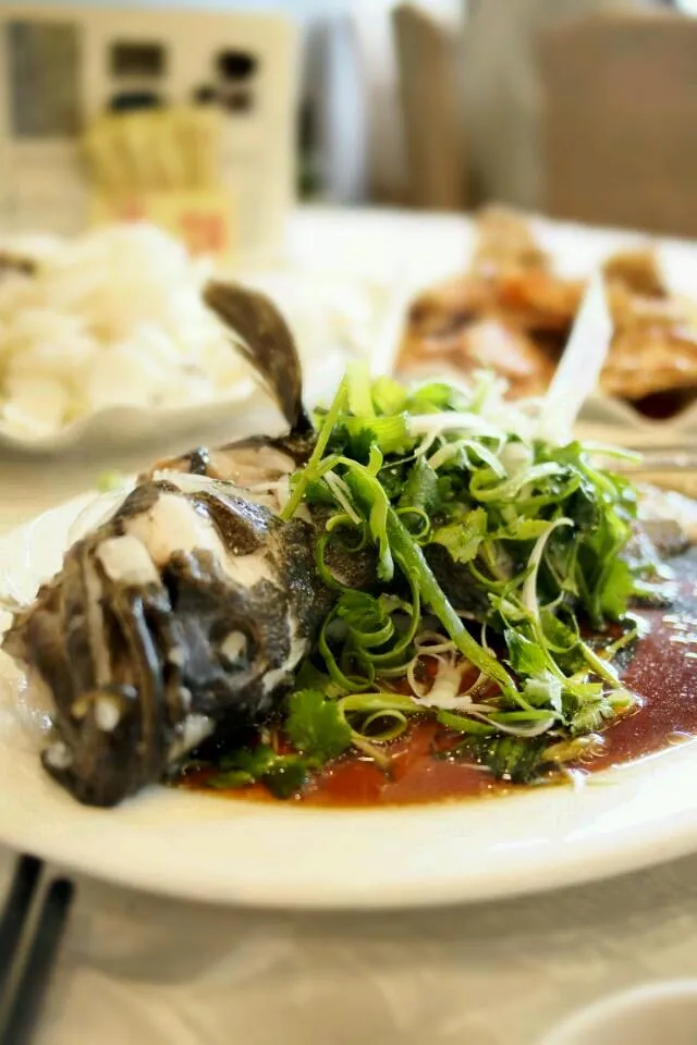 hk style steamed grouper|(*¯︶¯*)さん