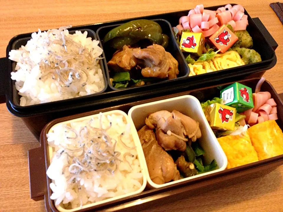 お弁当♡ジャコごはん、鶏の照焼き、卵焼き、ハム、竹輪の磯辺揚げ、チーズ|ウサコさん