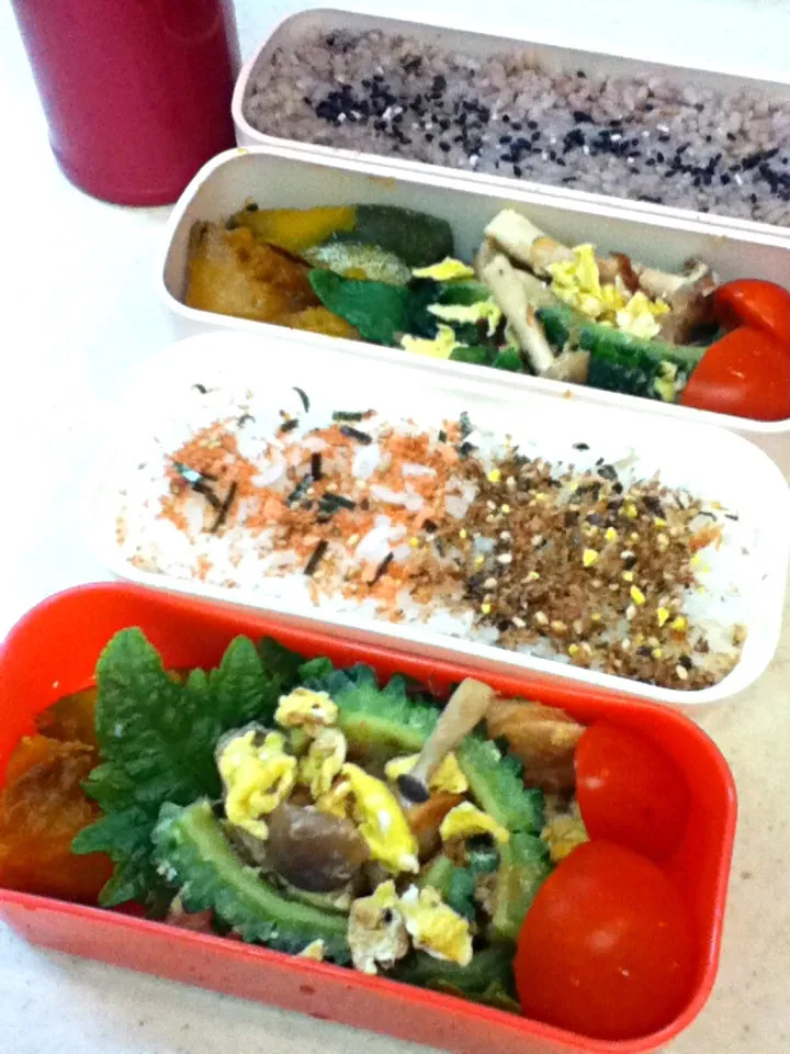 今日のJK&OL弁当はゴーヤチャンプルー♪イベリコラードで^^ Today's lunch box.Goya  is Okinawa bitter melon.|hoppycowさん