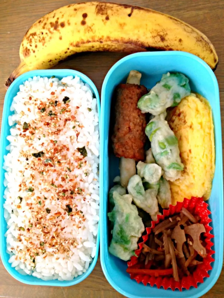 5/27のお弁当|ちな姉＠水ノ智南英さん