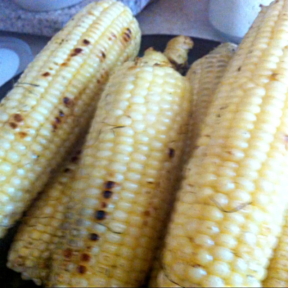 Fresh grilled corn on the cob!!|virginia frasseさん