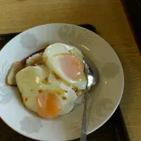 Snapdishの料理写真:焼豚玉子丼|たえぴょんさん