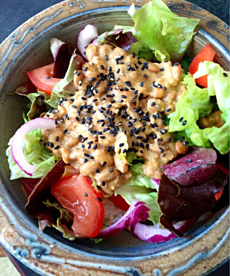 Natto Salad on rice, 納豆サラダ丼|ずきみくさん