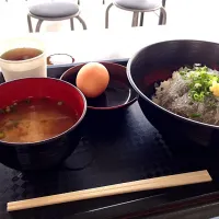 生じらす丼|わらしたけしさん