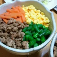 四色丼♪|たがわんさん