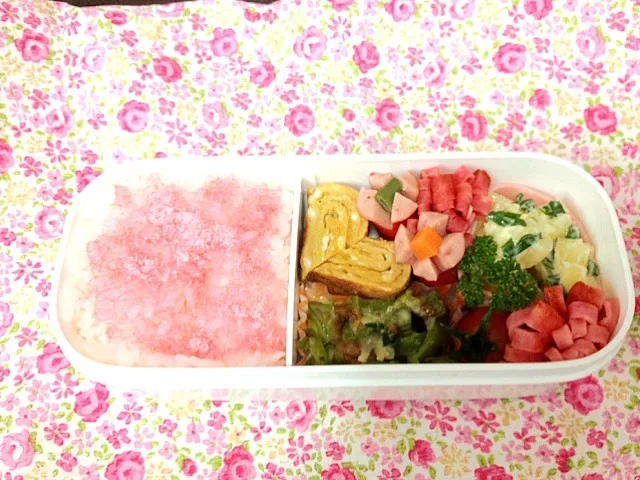 Snapdishの料理写真:お弁当|ゆかさん