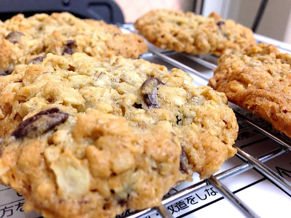 Oatmeal chocolate chip cookies|Kirsten Adachiさん