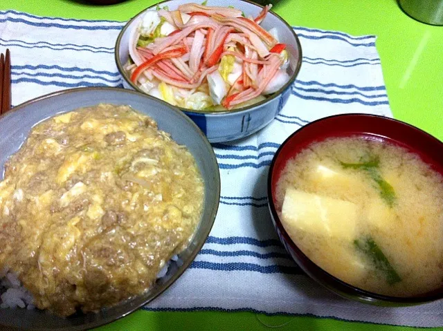 白菜とカニカマのお浸し、鶏そぼろあんかけ丼|sigiさん