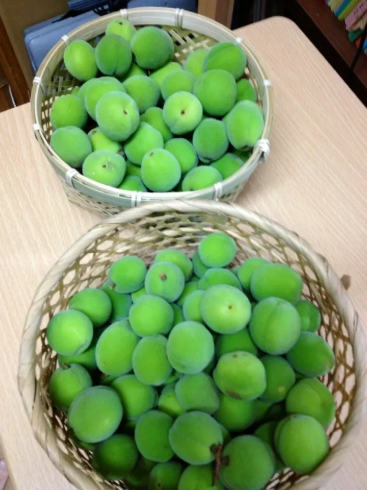 梅の実|すえたけさん