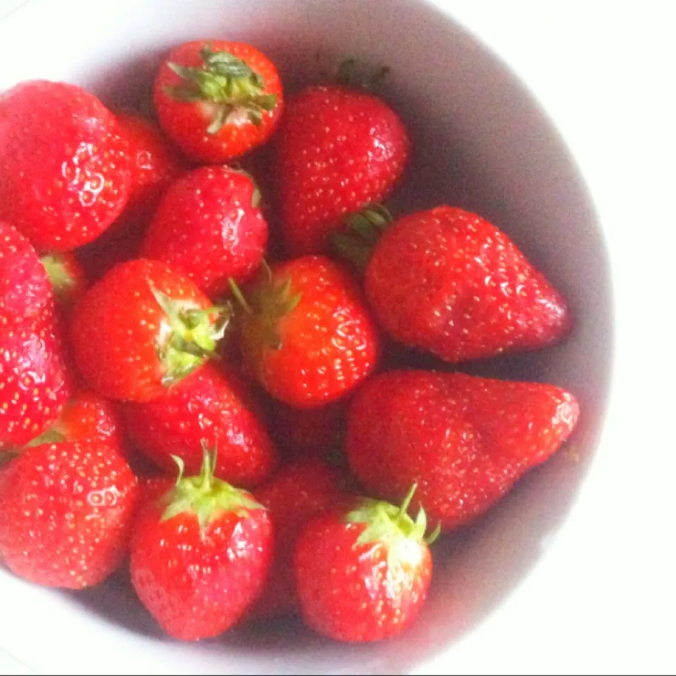 Snapdishの料理写真:Strawberries.|Elaine Chauさん