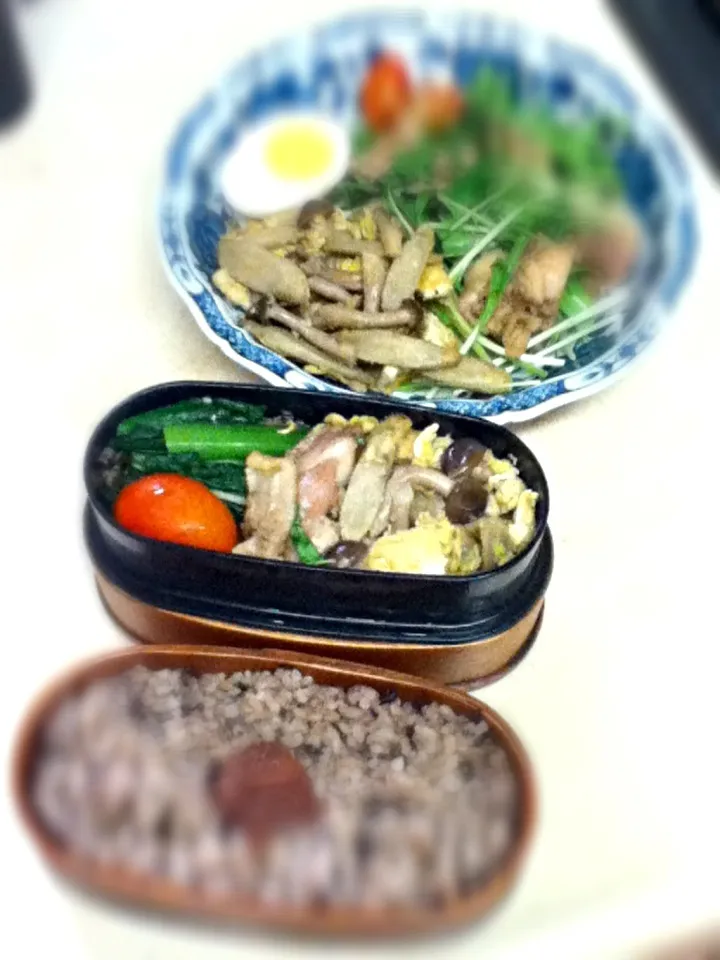 今日のOL弁当&JKランチプレート。Today's my lunch box & lunch plate for daughter.|hoppycowさん