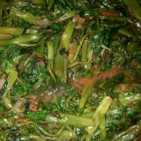 kangkung goreng belacan|yana stellaさん