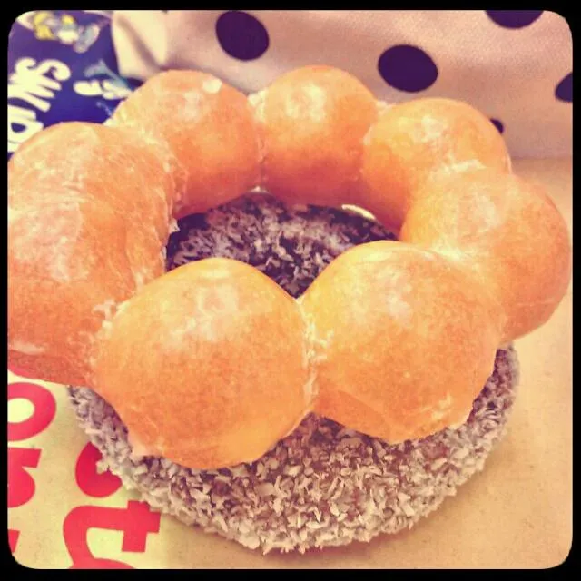 ♫ mister donut ♫|🌜 miaow 🌞さん