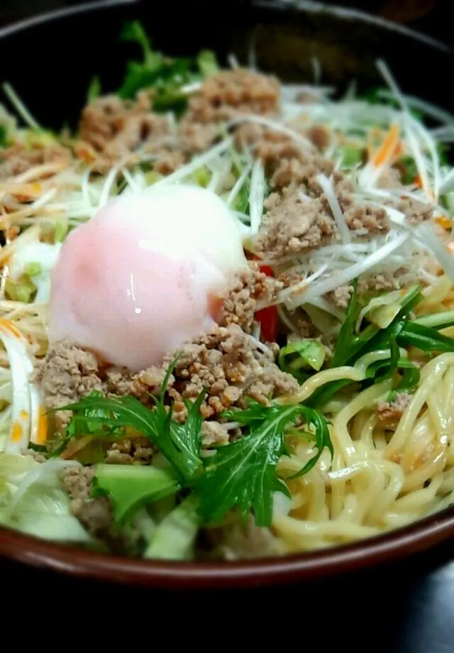 Snapdishの料理写真:冷やしじゃあじゃあ麺|平原知宏さん