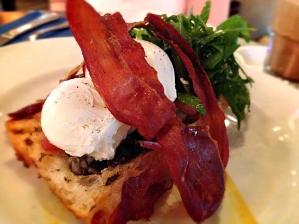 Poached eggs with mixed mushroom & rocket|12Dragonさん