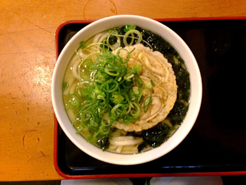 アオサ・ゴボ天うどん|yuko noseさん