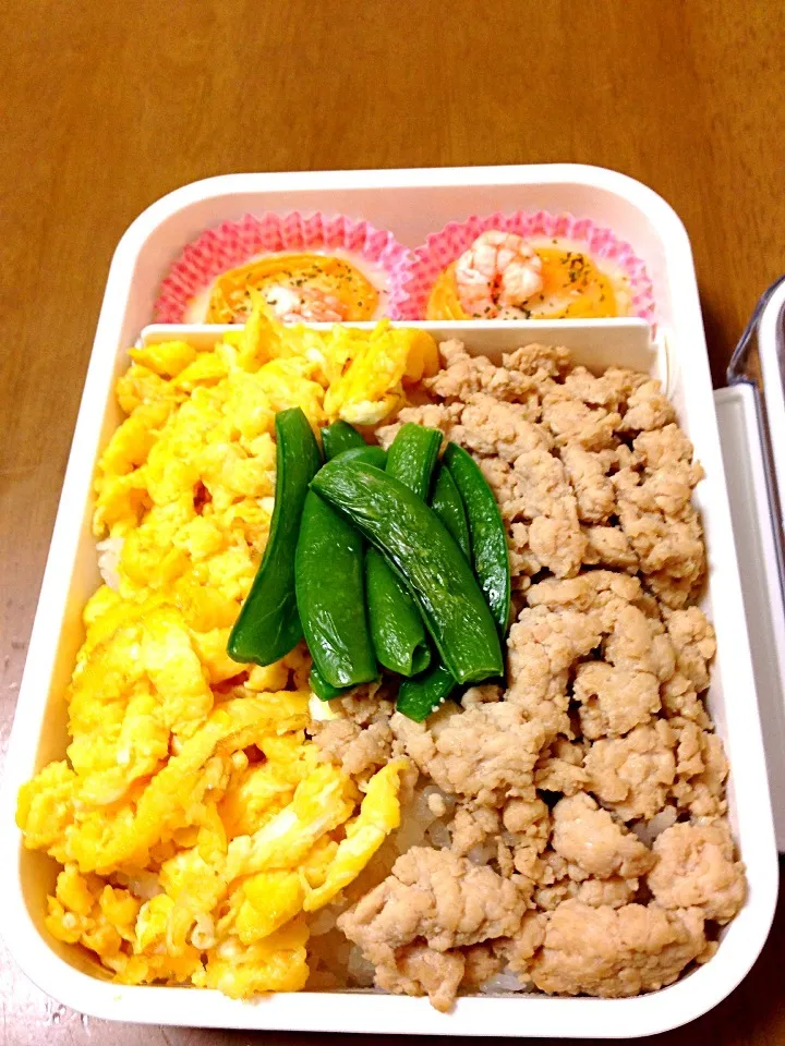 炒り卵と鶏そぼろ、スナップえんどうの三色弁当|Kyoko Tsuzukiさん