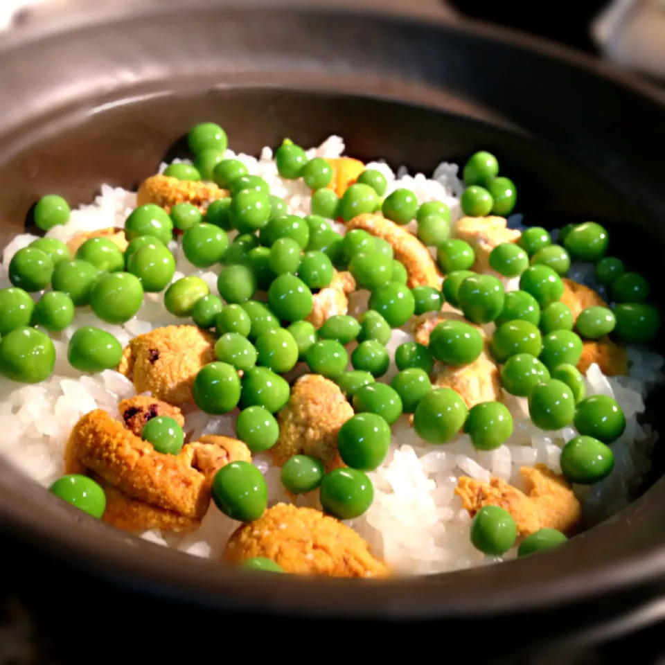 海胆豆土鍋炊き込みご飯|炊かれたいオトコ おこん 小栁津さん