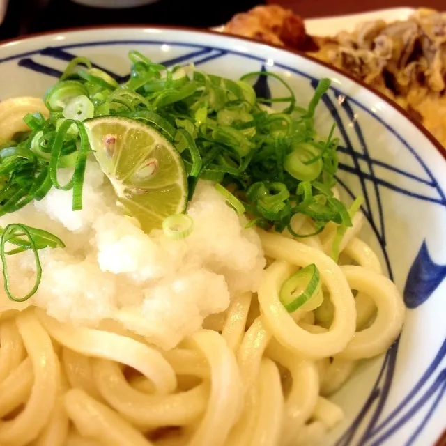 おろしだし醤油うどん大|さるさん