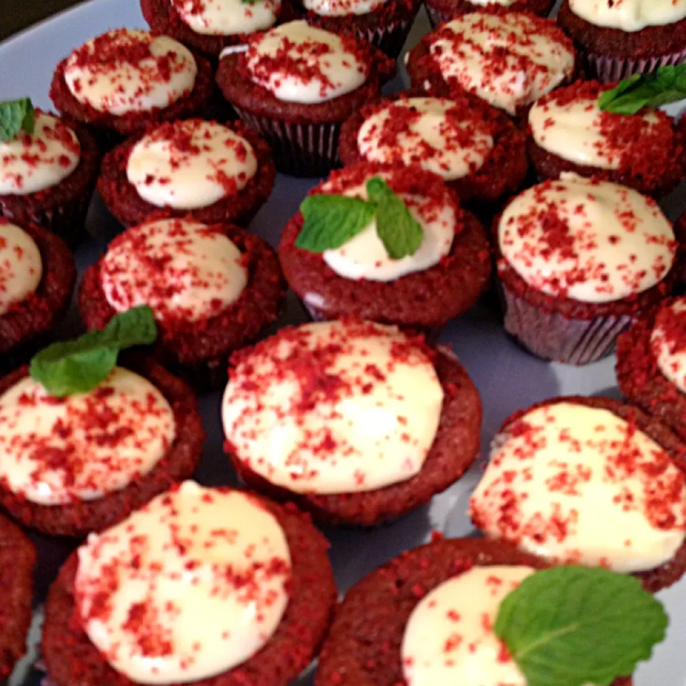 Red velvet mini cupcakes|lauren shannonさん