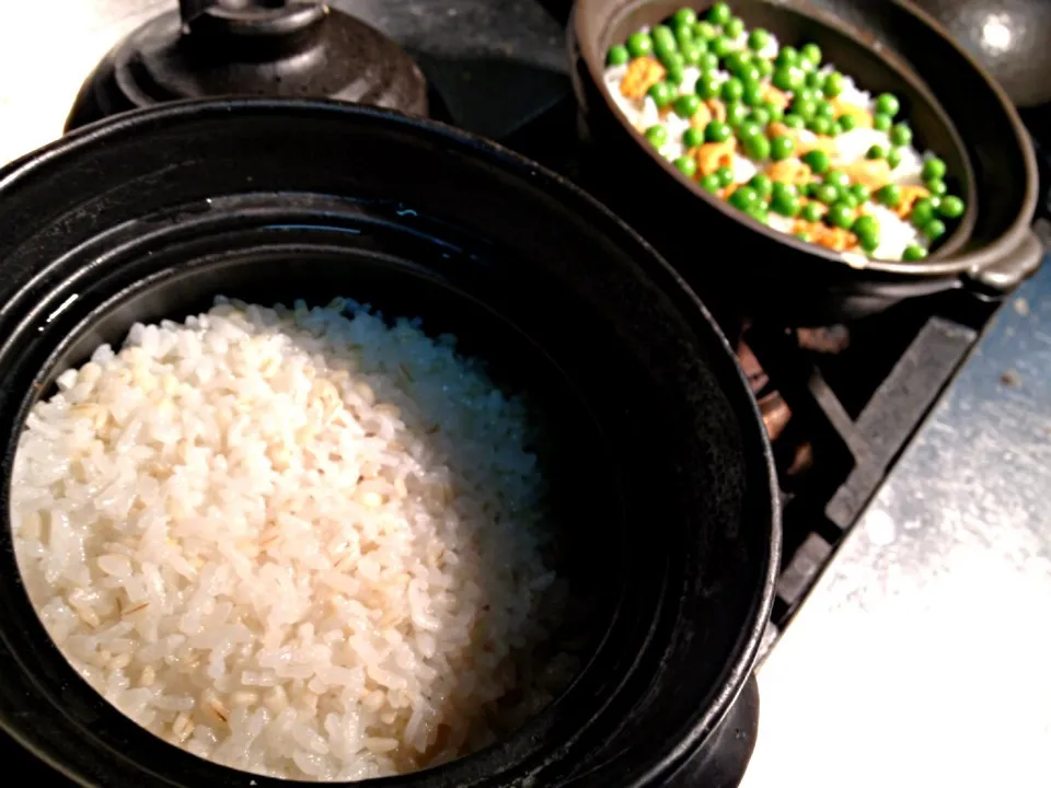 もち麦入りご飯|炊かれたいオトコ おこん 小栁津さん