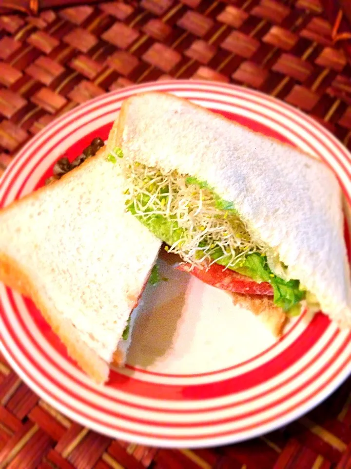 Mustard plenty of vegetables Sand🍞粒ﾏｽﾀｰﾄﾞたっぷり野菜ｻﾝﾄﾞ|🌈Ami🍻さん