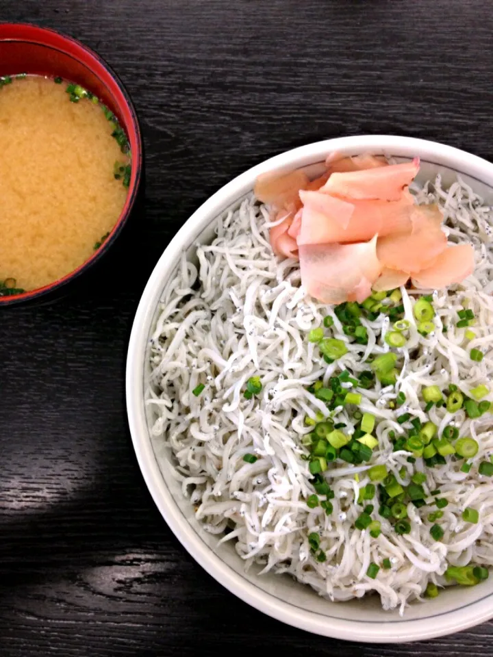 Snapdishの料理写真:釜揚げしらす丼|Yusuke Okadaさん