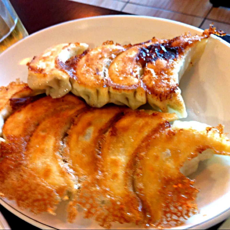 Jonny Dumplingの焼餃子|なかきよさん