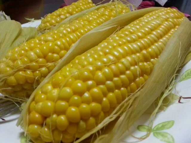 sweet corn :)|Aejhay Karubeさん