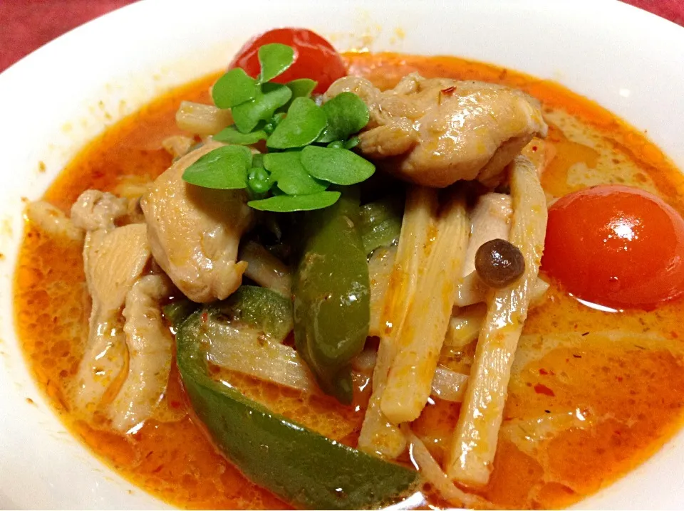 タイレッドカレー|さかもとさん