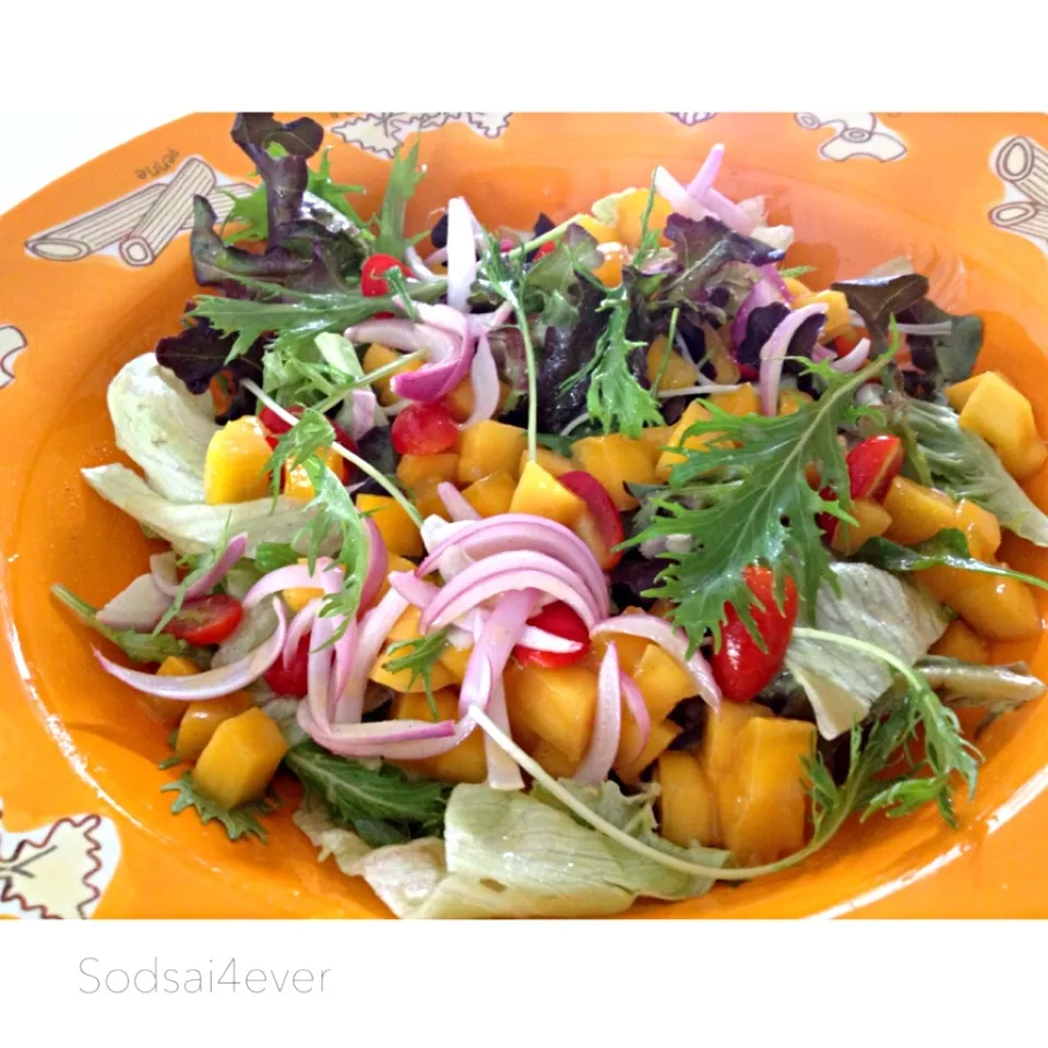 Mango Salad|sodsai sumさん