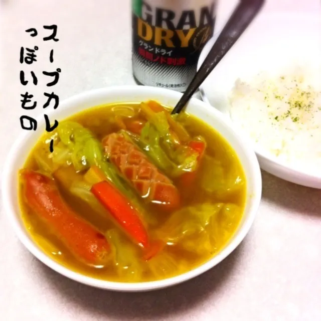 130602-スープカレーっぽいもの ¥180 #夕食 #自炊|dune725さん