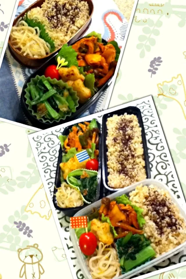 6/3  みんなのお弁当|naoさん