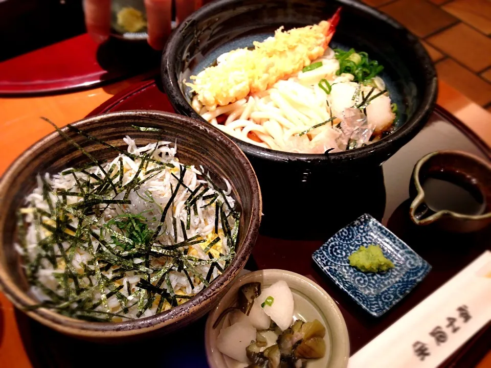 Snapdishの料理写真:生しらす丼とぶっかけ天ぷらうどん|もりた あゆさん