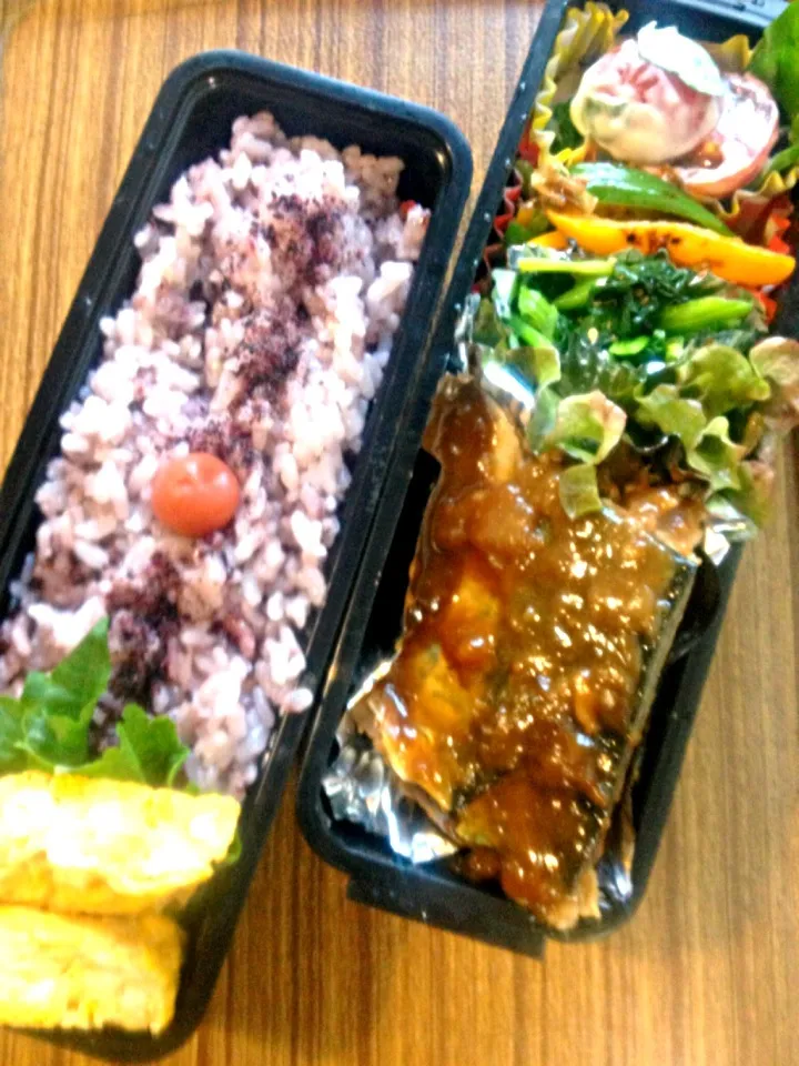 Snapdishの料理写真:鯖の味噌煮弁当|いりごまさん