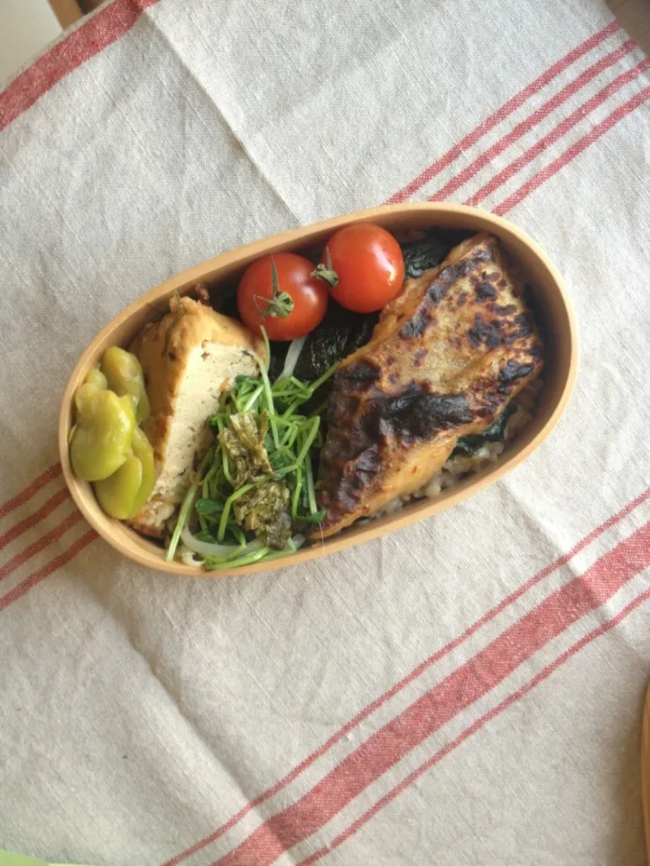 今日のおべんと。海苔弁。鱈の味噌漬け、がんもとそら豆の煮物、豆苗のおぼろこんぶ和え。海苔弁がすき。|nozomi tsujiさん