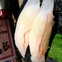 ヤガラ 珍しいお魚です。|ヒロキさん