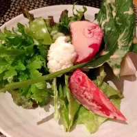 Snapdishの料理写真:旬野菜のサラダ|タカコさん