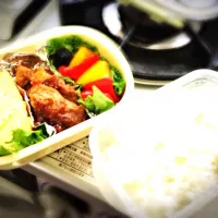 Snapdishの料理写真:ある日のお弁当|みきさん